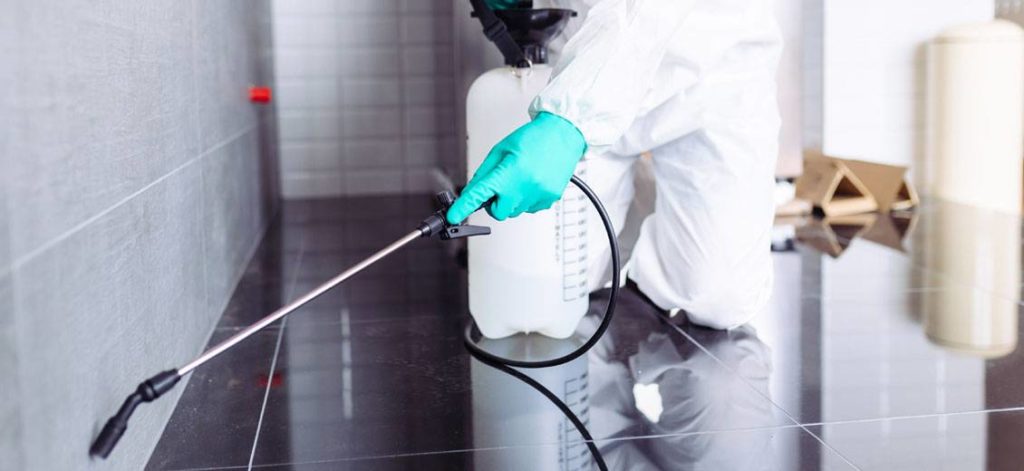 Ben’s Pest Control: Offering Unmatched Pest Control Services in Port St. Lucie, Fort Pierce, and Stuart, FL